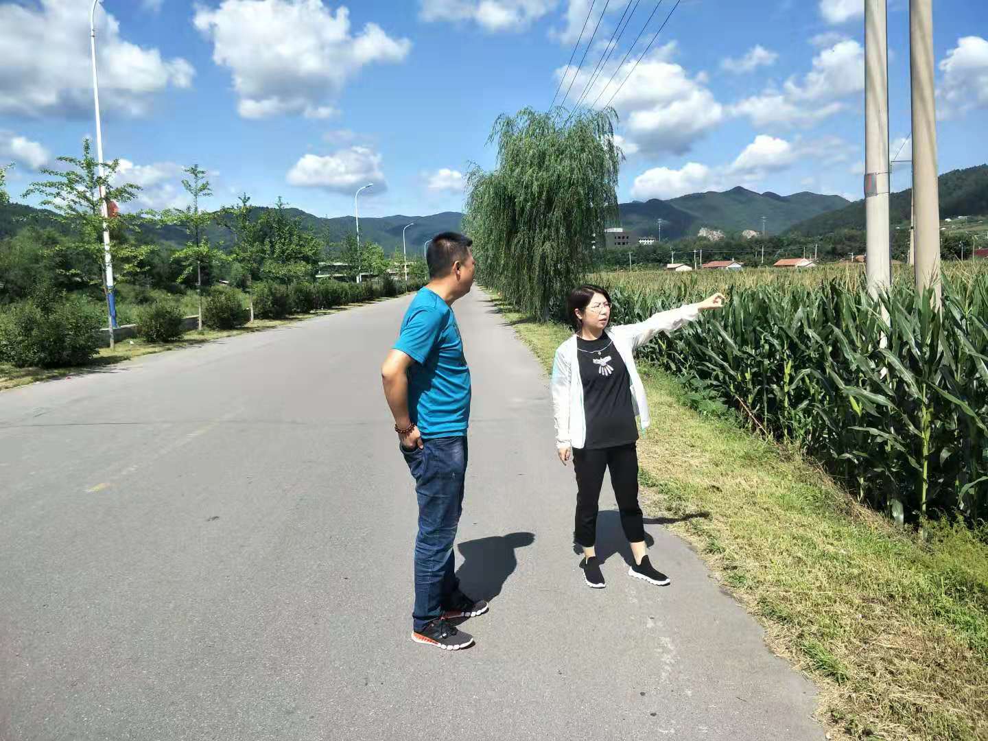 b67d09ae654f4ea1a2caec1f377936a0.Jpeg