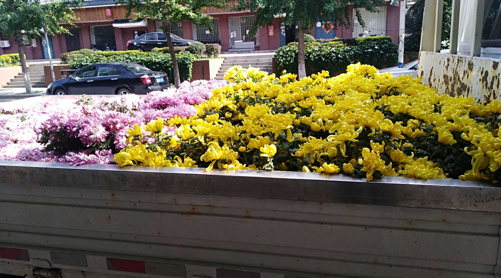d649c9ab584045a281639724782fa9a4.Jpeg