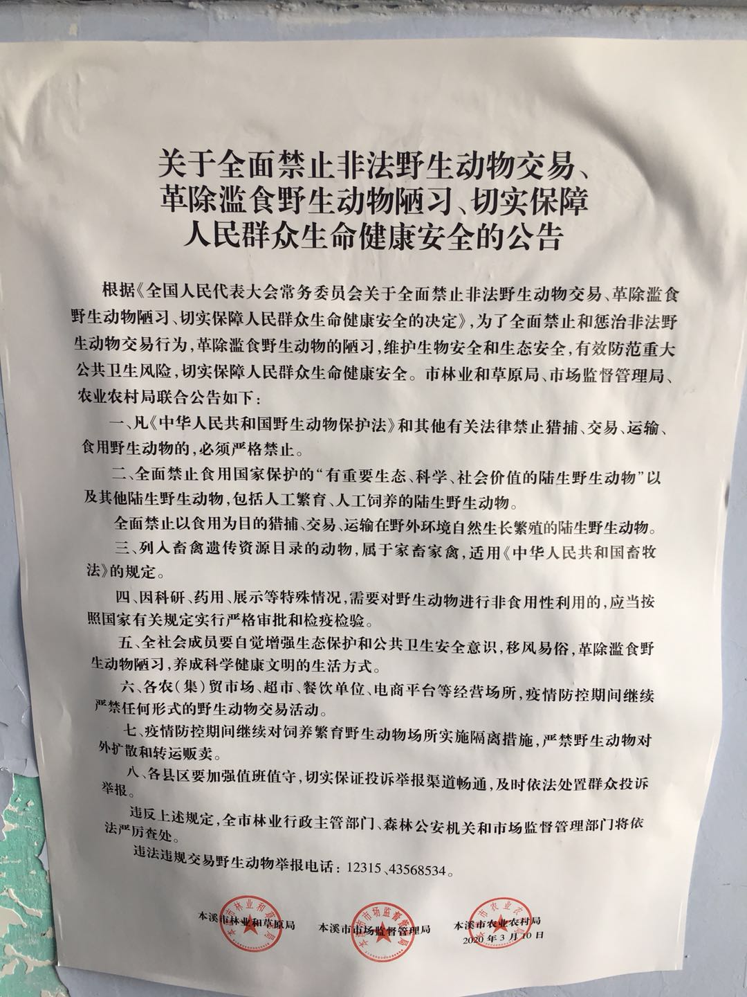 e476a2705ef643088b89c6f8c26d215d.Jpeg